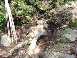 子安河原感観音