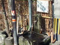 文豪の水 文豪の水