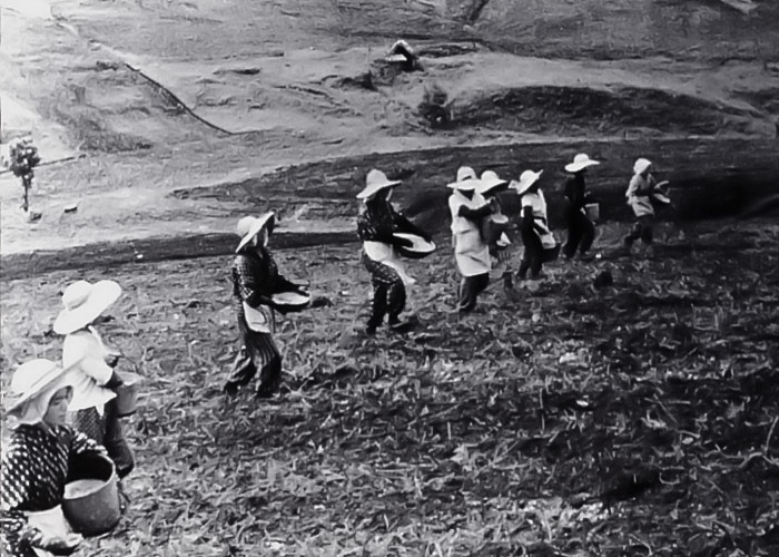 人口草原 | 阿蘇ペディア